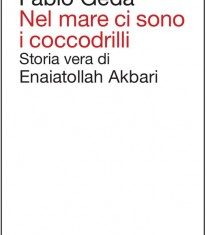 Cronache di uno scrittore. Intervista a Fabio Geda (18 Giugno 2009)